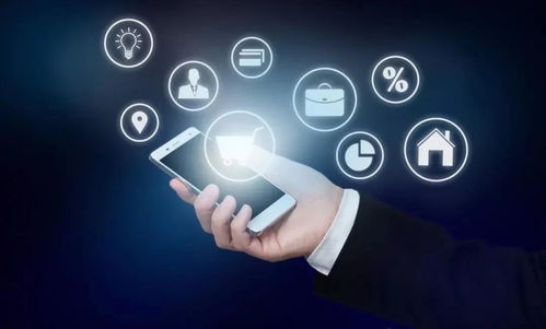 淺談財(cái)務(wù)信息化建設(shè)在互聯(lián)網(wǎng)服務(wù)領(lǐng)域的價(jià)值與實(shí)踐