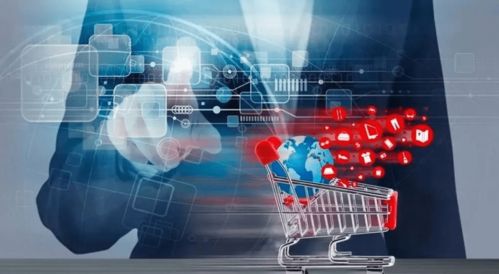 傳統企業如何借力互聯網平臺實現轉型——以西藏特產交易網為例